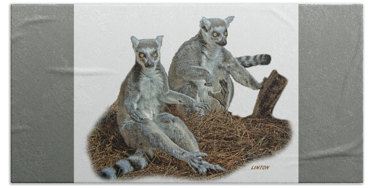 Ring-tailed Lemurs Beach Towel featuring the digital art RING-TAILED LEMURS cps by Larry Linton