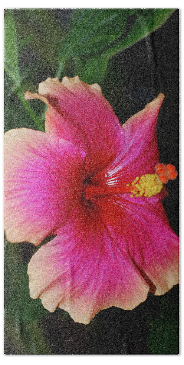Hibiscus Beach Sheet featuring the photograph Rise and Shine - Hibiscus Face by Connie Fox