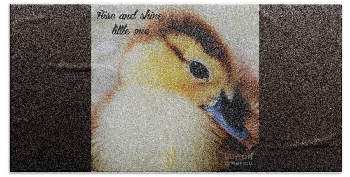 Duckling Beach Towel featuring the photograph Rise and shine, little one by Joanne Carey
