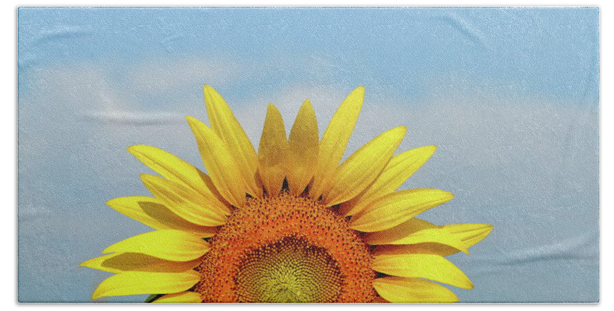 Sunflower Beach Towel featuring the photograph Rising Sun by Lens Art Photography By Larry Trager