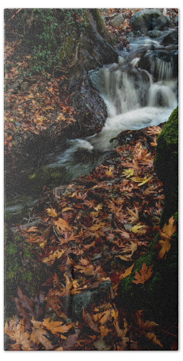 Waterfall Beach Towel featuring the photograph River flowing with maple leaves on the rocks on the riverside in autumn season by Michalakis Ppalis
