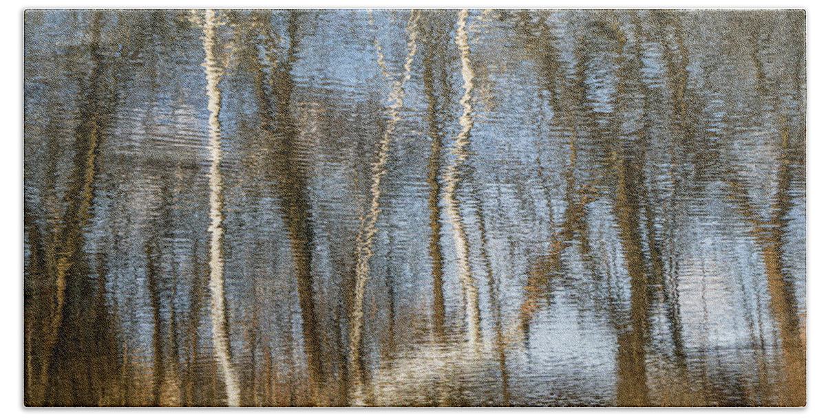 Water Beach Towel featuring the photograph Birch Reflections 2 by Tana Reiff