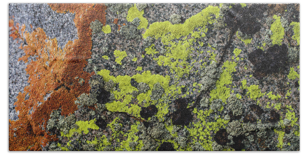 Rock Beach Towel featuring the photograph Rock and moss by Alessandra RC