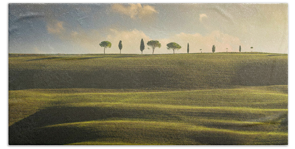 Tree Beach Towel featuring the photograph Rolling hills, cypress and pine trees. Tuscany, Italy by Stefano Orazzini