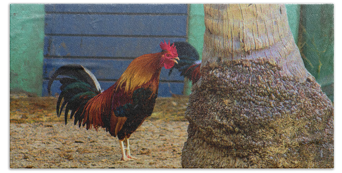 Rooster Beach Towel featuring the photograph Rooster Crowing at a Tree by Roberta Byram