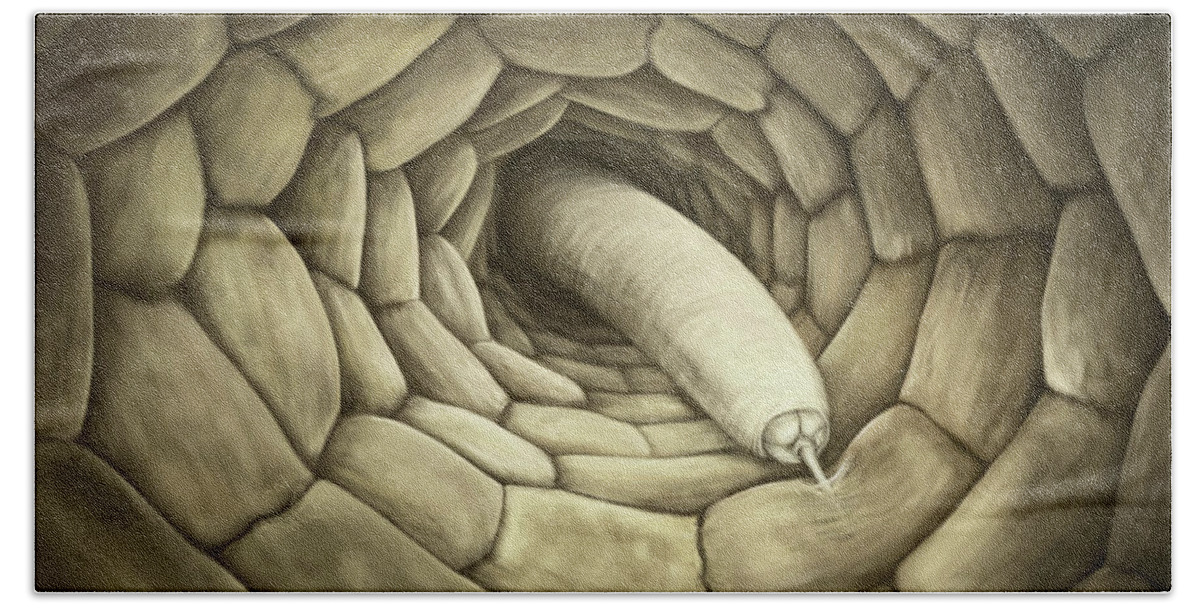 Nematode Beach Towel featuring the digital art Root feeding nematode by Kate Solbakk