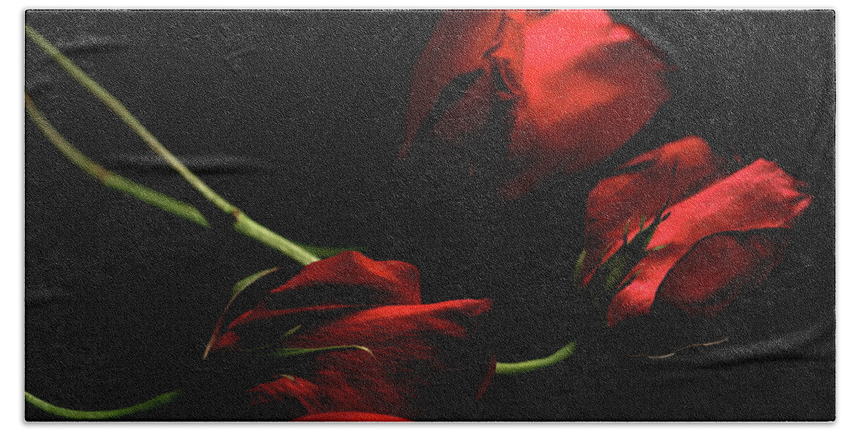 Macro Beach Towel featuring the photograph Rose 8809 by Julie Powell