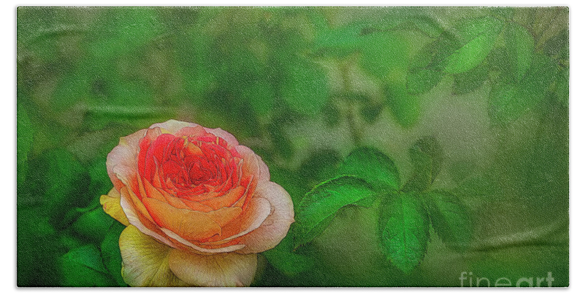 Rose Beach Towel featuring the photograph Rose Among the Thorns by Shelia Hunt