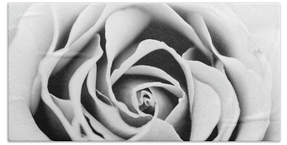 Rose Beach Towel featuring the photograph Rose Center in Black and White by Vishwanath Bhat