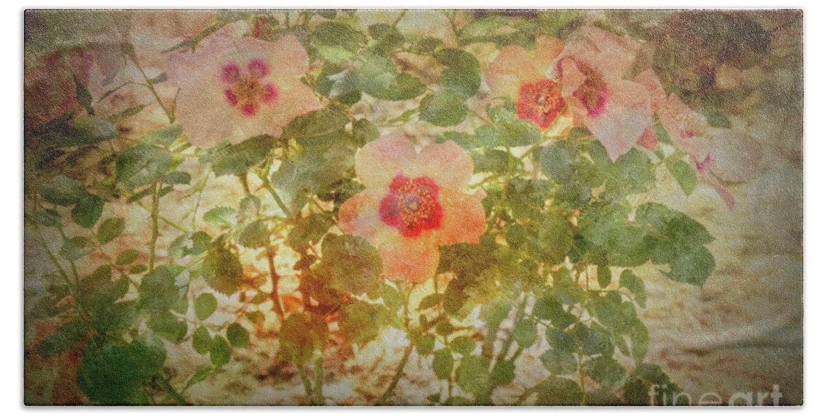 Roses Beach Towel featuring the photograph Rose Garden 1 by Elaine Teague