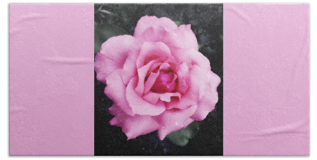 Pink Beach Towel featuring the photograph Rose by Tanja Leuenberger