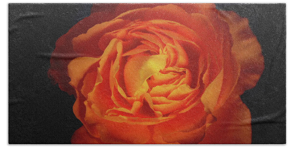 Rose Beach Towel featuring the photograph Rose with Summer Haze by Roberta Byram