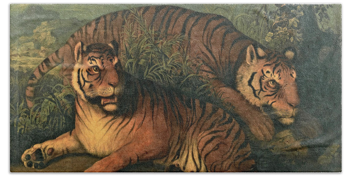 Attributed To Johann Wenzel Peter Beach Towel featuring the painting Royal Bengal Tigers by Attributed to Johann Wenzel Peter