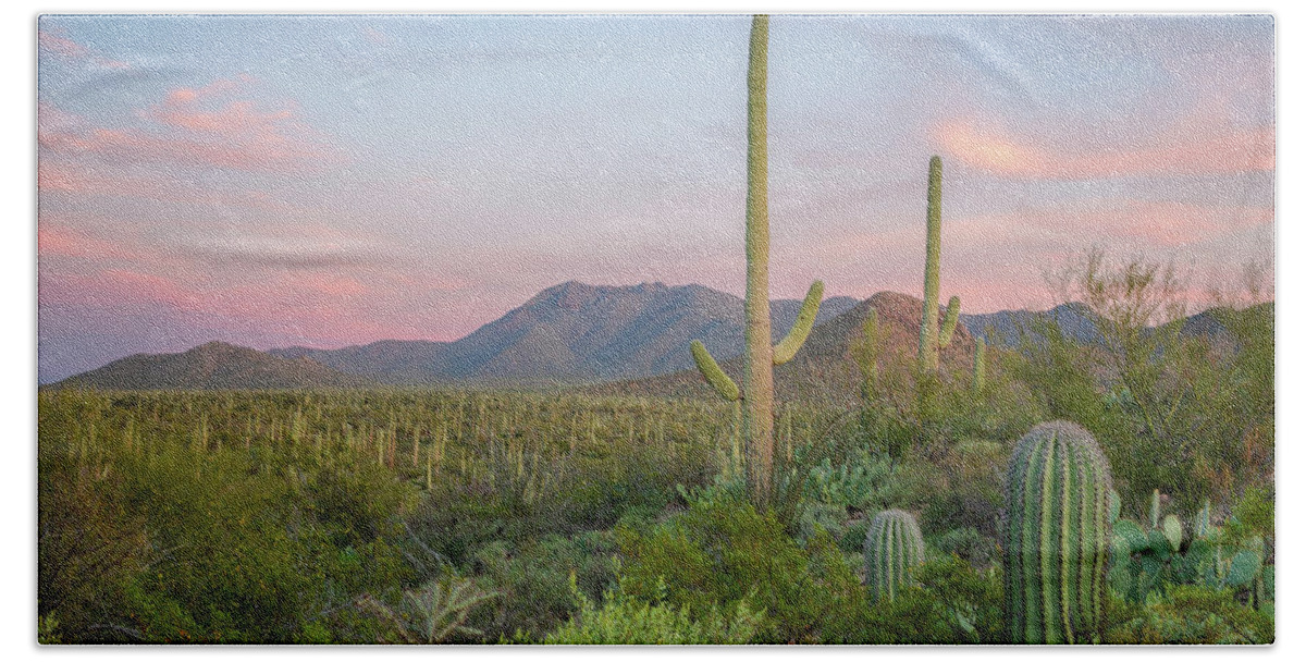 Arizona Beach Towel featuring the photograph Saguaro Alpenglow by Alex Mironyuk