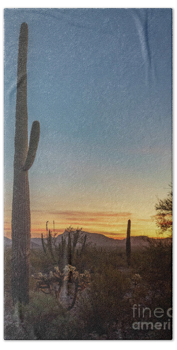 Desert Beach Towel featuring the photograph Saguaro Sunset by Jeff Hubbard