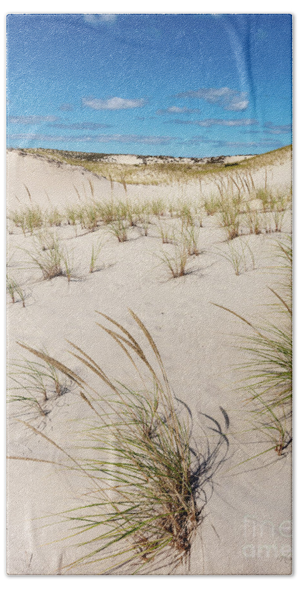 Sandy Neck Dunes Beach Towel featuring the photograph Sandy Neck Dunes by Michelle Constantine