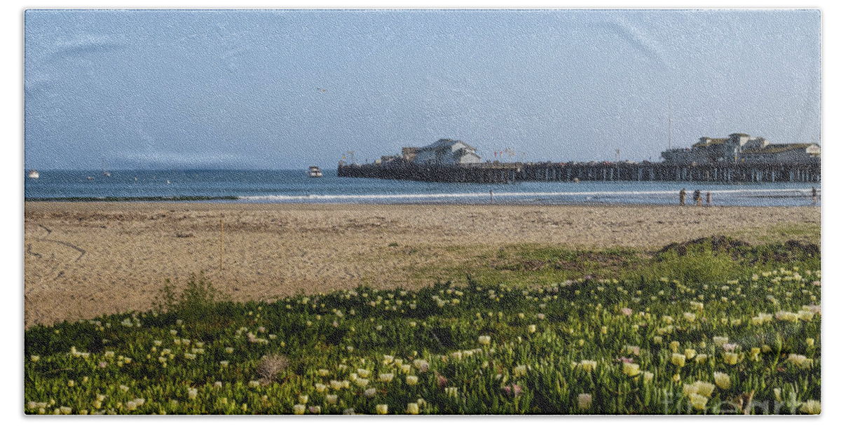 Santa Barbara Beach Sheet featuring the photograph Santa Barbara Wharf and Ice Plants by Suzanne Luft