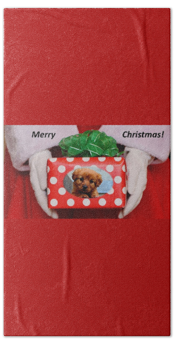 Christmas Beach Towel featuring the photograph Santa Brings A Puppy by Nancy Ayanna Wyatt