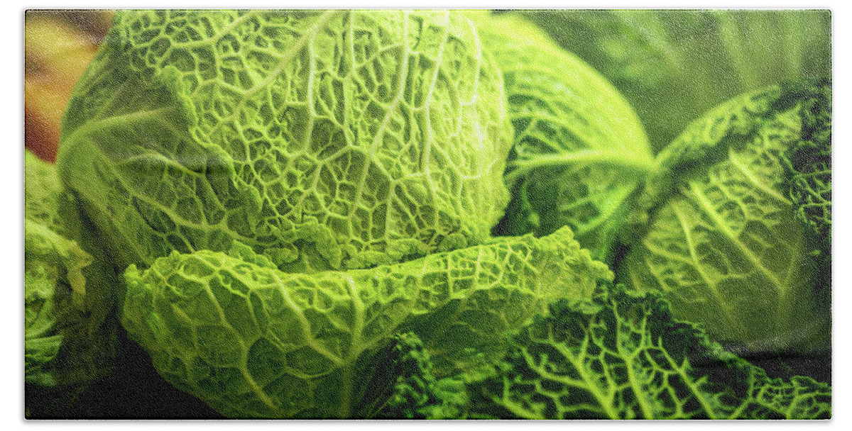 Fruit Beach Towel featuring the photograph Savoy Cabbage by Luis Vasconcelos
