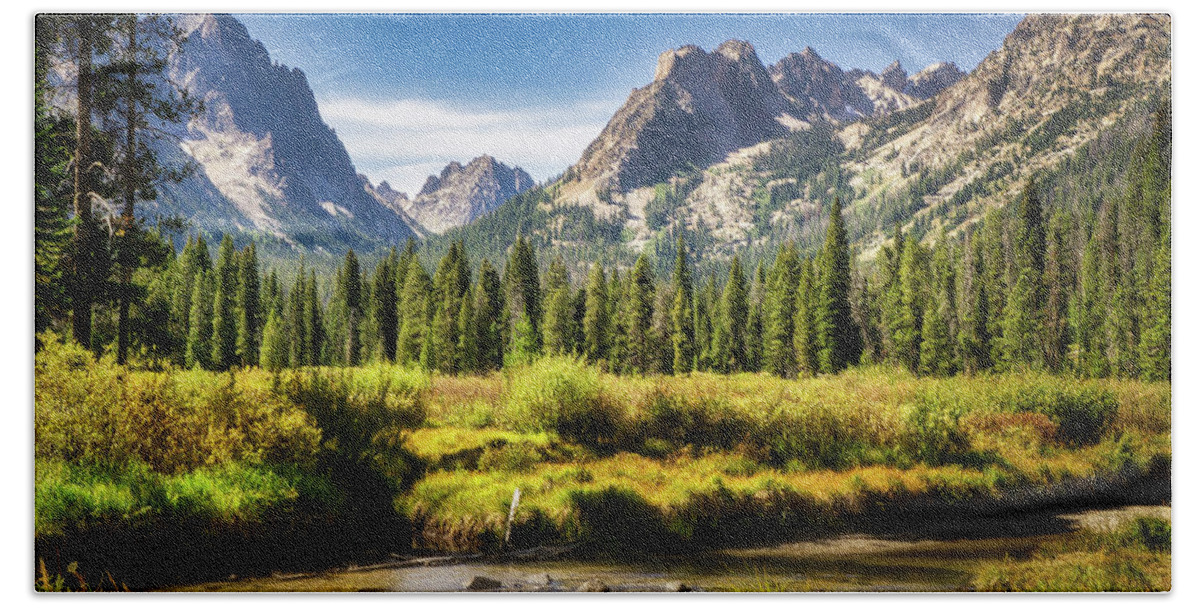 Mountain Beach Towel featuring the photograph Sawtooth Mountain Meadow by Dan Eskelson
