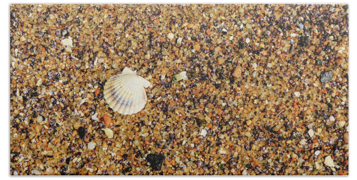 Seascape Beach Towel featuring the photograph Scallop Shell by David Lee