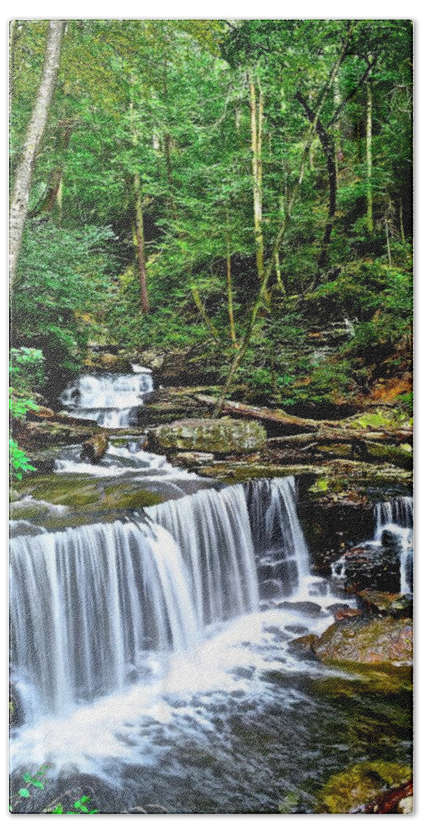 Ricketts Beach Towel featuring the photograph Scenery at Ricketts Glen by Frozen in Time Fine Art Photography