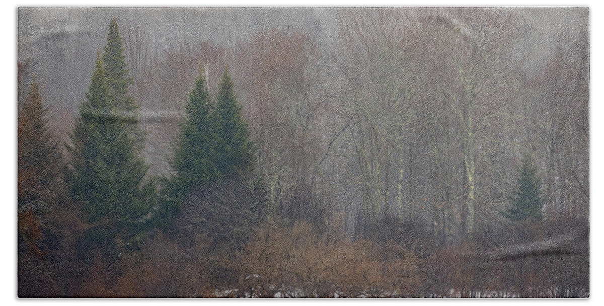 Franconia Beach Towel featuring the photograph Scenic Winter Trees in the Fog by Denise Kopko