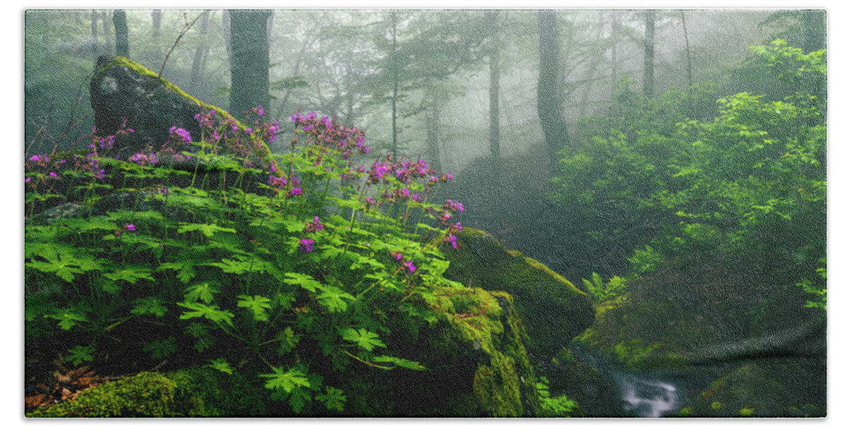 Geranium Beach Towel featuring the photograph Scent of Spring by Evgeni Dinev
