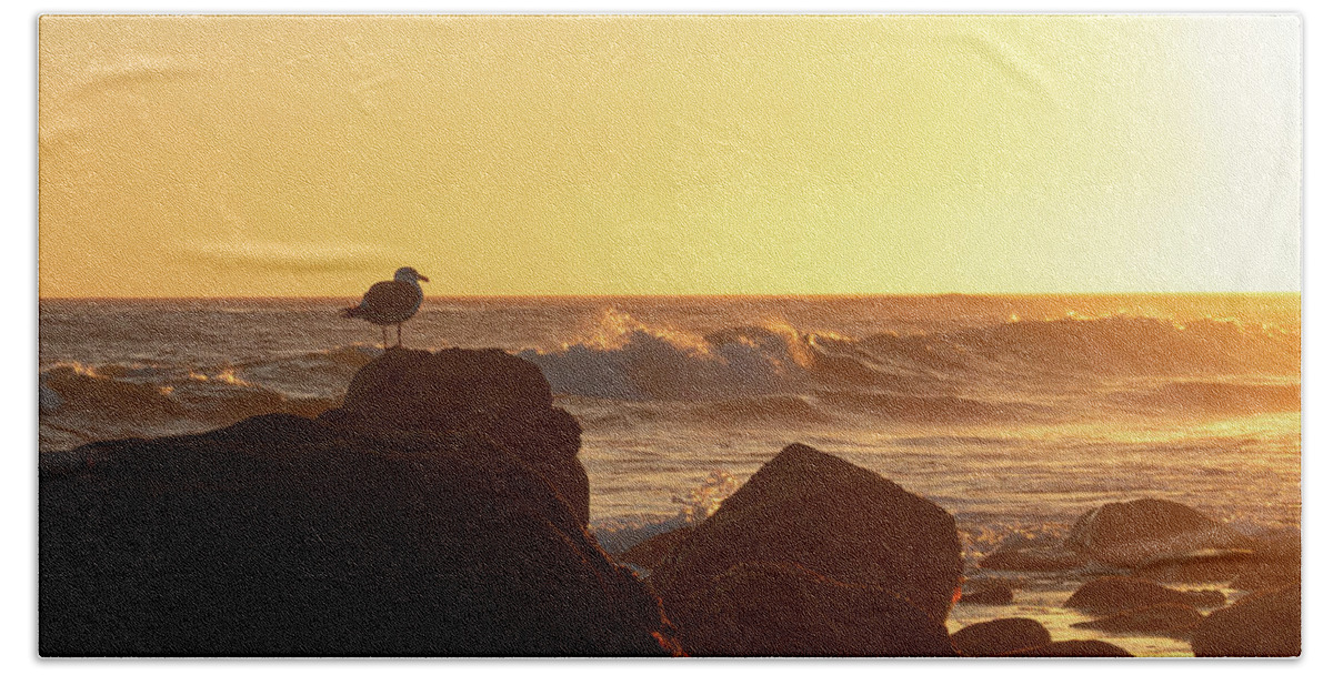 Beach Beach Towel featuring the photograph Seagull Enjoying the Sunset by Matthew DeGrushe