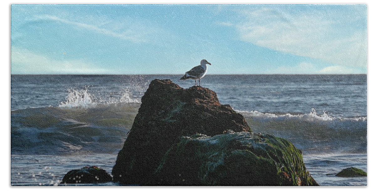  Beach Towel featuring the photograph Seagull Perched on Ocean Rock by Matthew DeGrushe