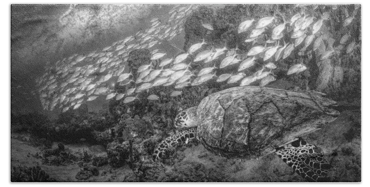 Underwater Beach Towel featuring the photograph Seahorse and Turtle Black and White by Debra and Dave Vanderlaan