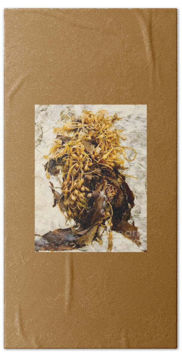 Seaweed Beach Towel featuring the photograph Seaweed on beach sand by Lana Sylber
