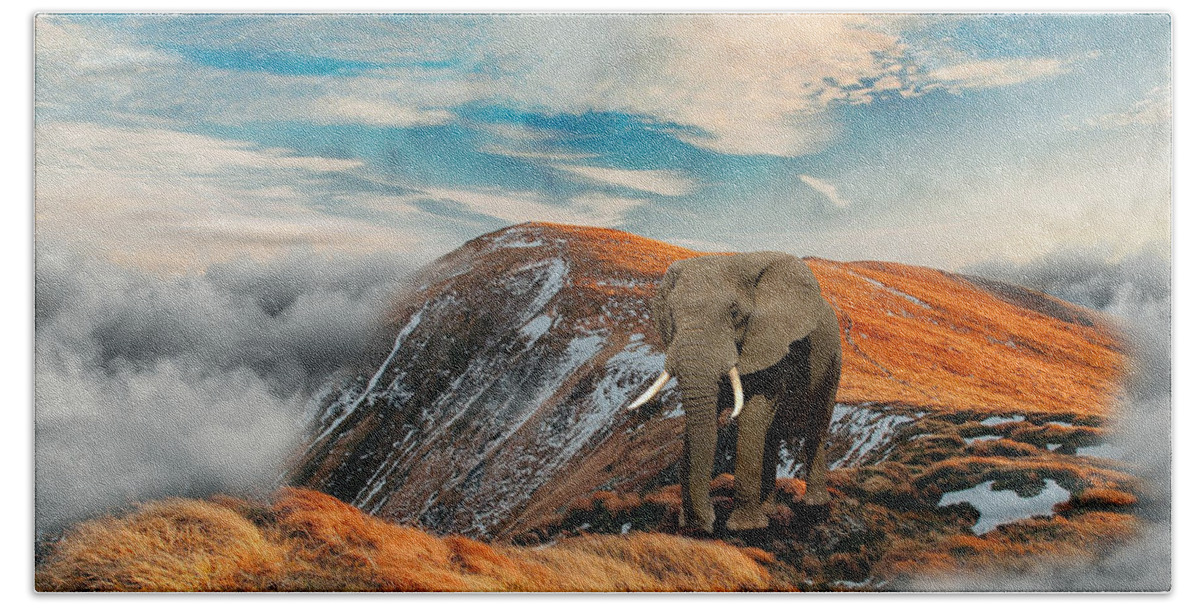 Elephant Beach Towel featuring the mixed media Seeking Peace by Ally White