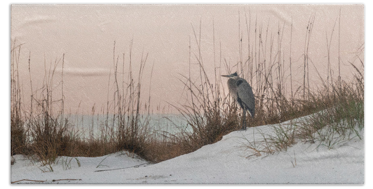 Egret Beach Towel featuring the photograph Settling In by Kevin Senter