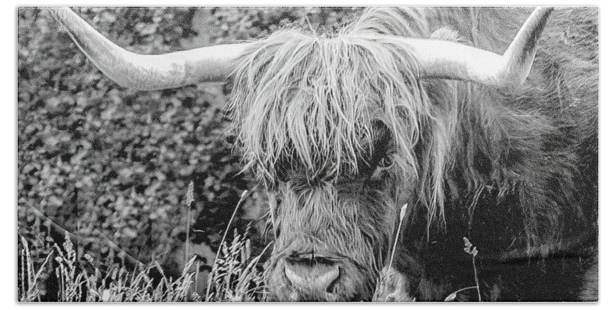 Scotland Beach Towel featuring the photograph Shaggy Coo of Scotland by Marcy Wielfaert