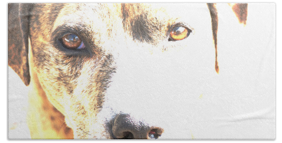 Dog Beach Towel featuring the photograph She Sees Me by Kae Cheatham