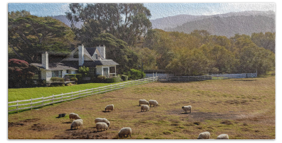 Digital Paintings Beach Towel featuring the photograph Sheep at Mission Ranch by Robert Carter