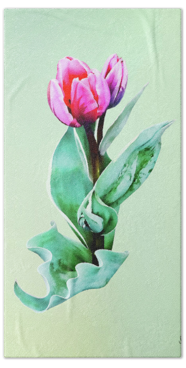 Tulip Beach Towel featuring the photograph Shy Little Tulip by Susan Savad