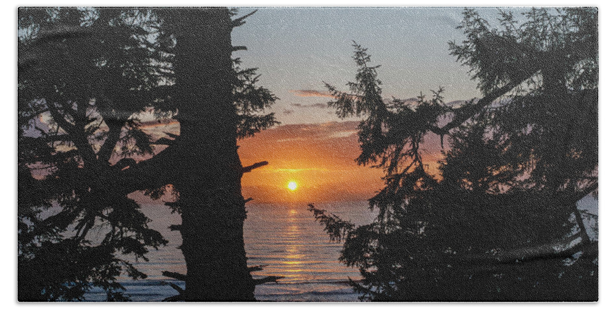 Afternoon Beach Towel featuring the photograph Silhouettes of Spruce Trees                  by Robert Potts
