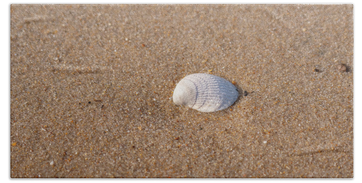 Sea Beach Towel featuring the photograph Simple Beauty by Rose Guinther