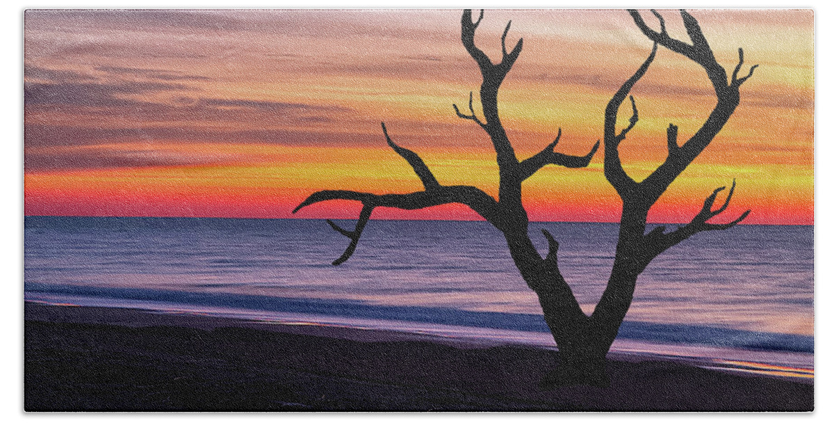 Trees Beach Towel featuring the photograph Skeleton Trees of Graveyard Beach 03 by Jim Dollar