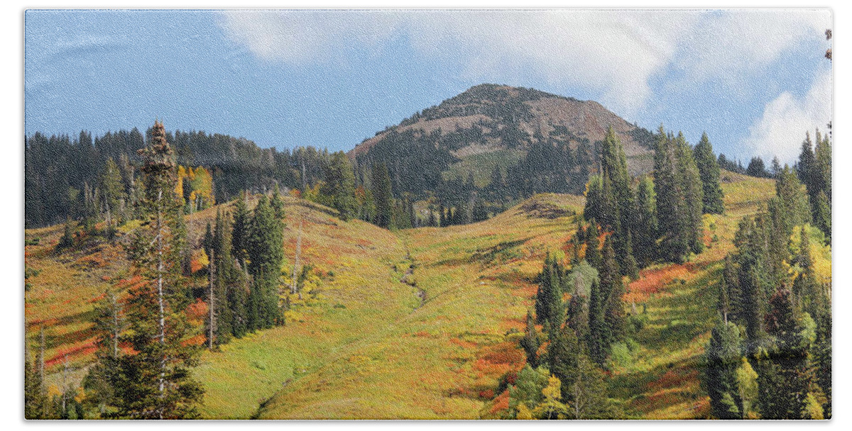 Autumn Beach Towel featuring the photograph Ski Slope in Autumn by Robert Carter