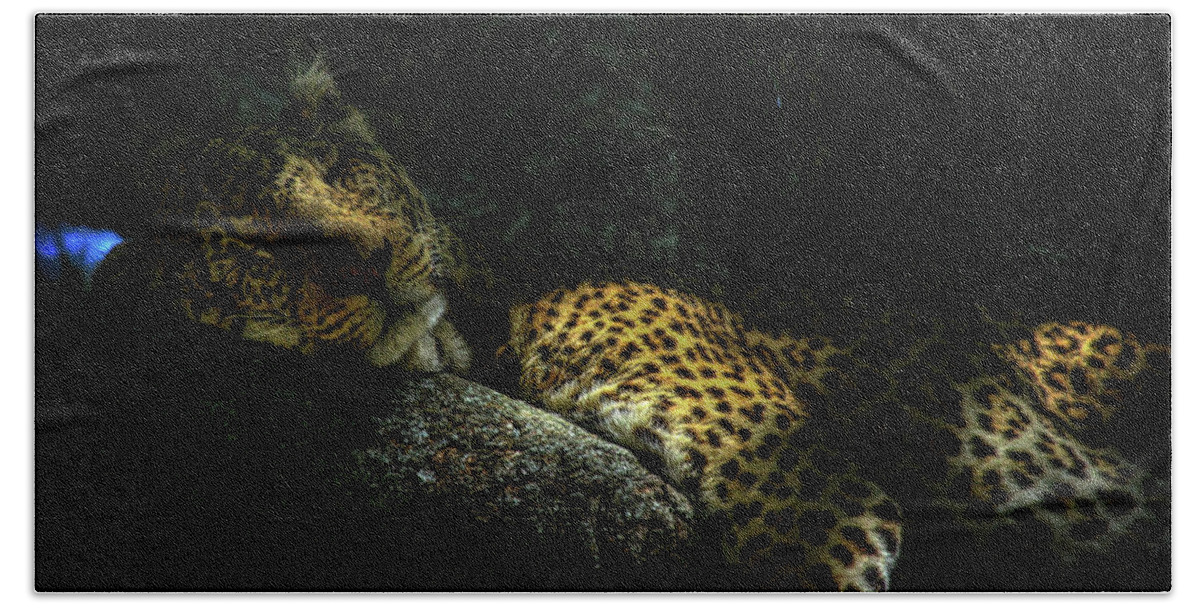 Sleeping Leopard Beach Towel featuring the photograph Sleeping Leopard - Signed by Gene Taylor