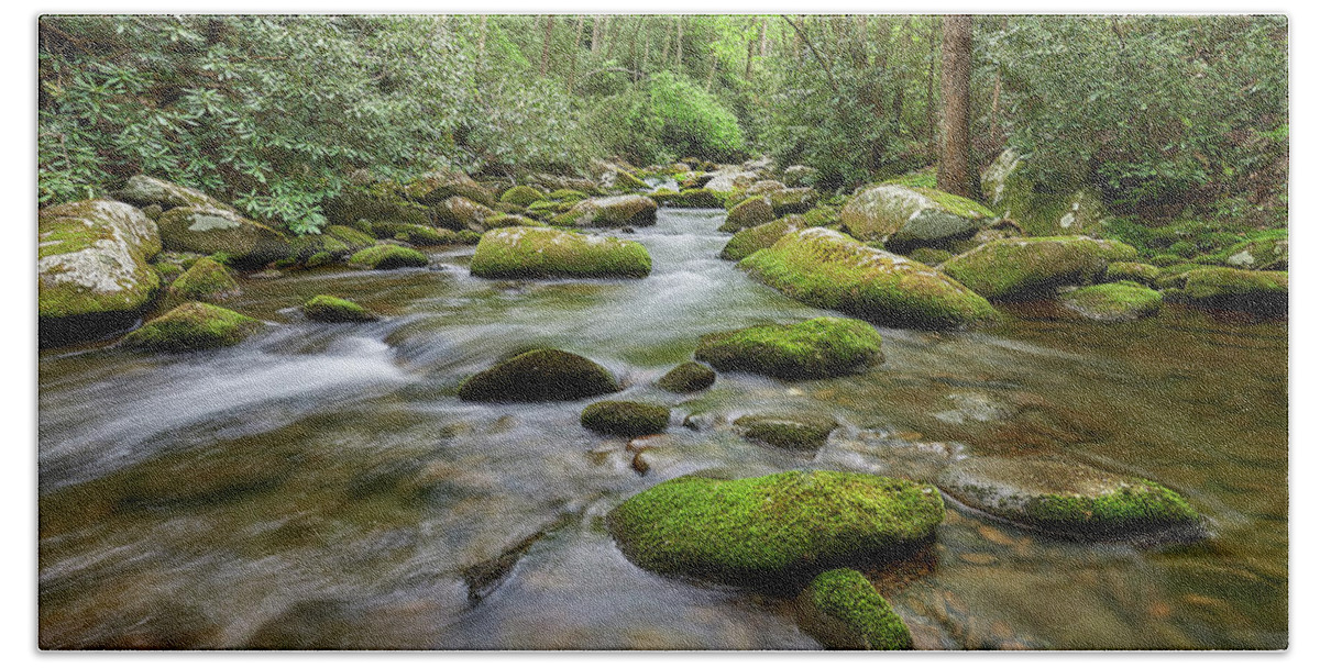 Forest Beach Towel featuring the photograph Smokey Mountain Cascade by Jon Glaser