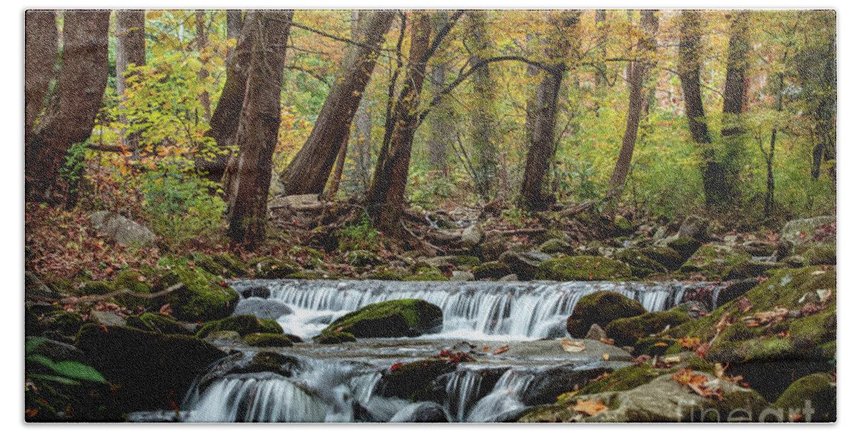 Autumn Beach Towel featuring the photograph Smoky Mountain Autumn Water by Theresa D Williams