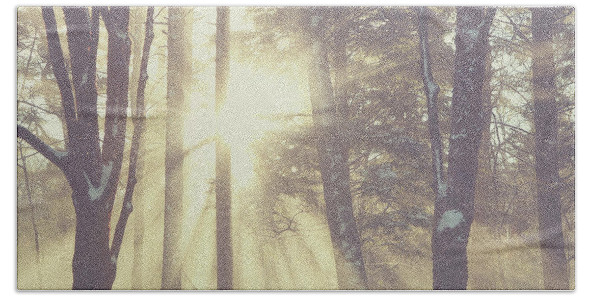 Winter Beach Towel featuring the photograph Snow Beams by Carrie Ann Grippo-Pike