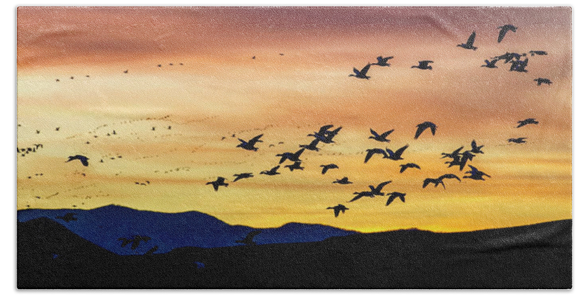Snow Geese Beach Sheet featuring the photograph Snow Geese Flying into the Sunset by Judi Dressler
