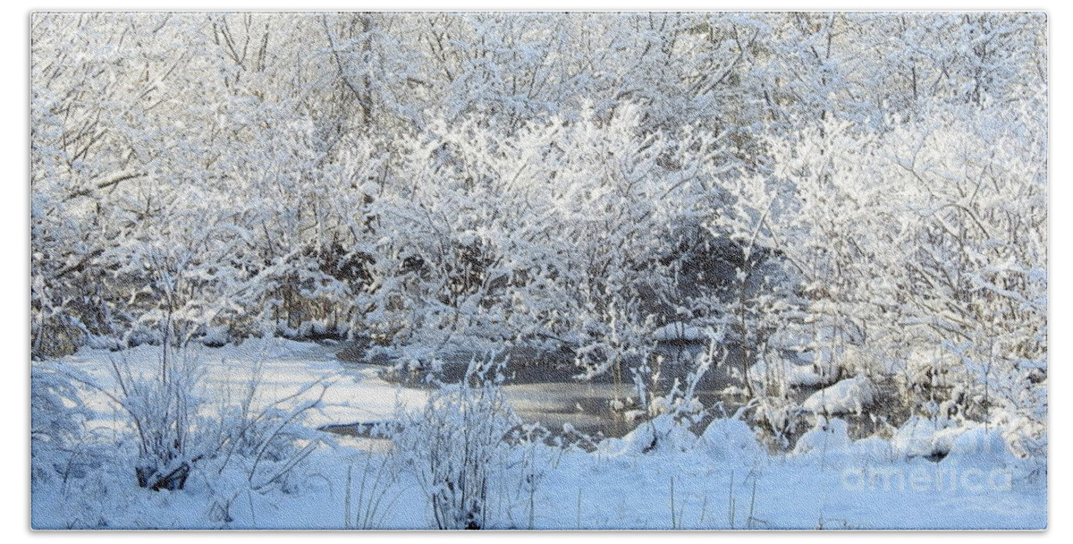 Winter Scenes Beach Towel featuring the photograph Snow in March by Eunice Miller