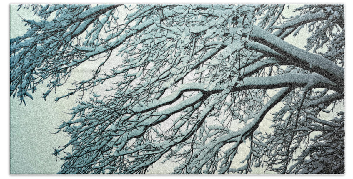 Nature Beach Towel featuring the photograph Snow Tree by Anthony M Davis