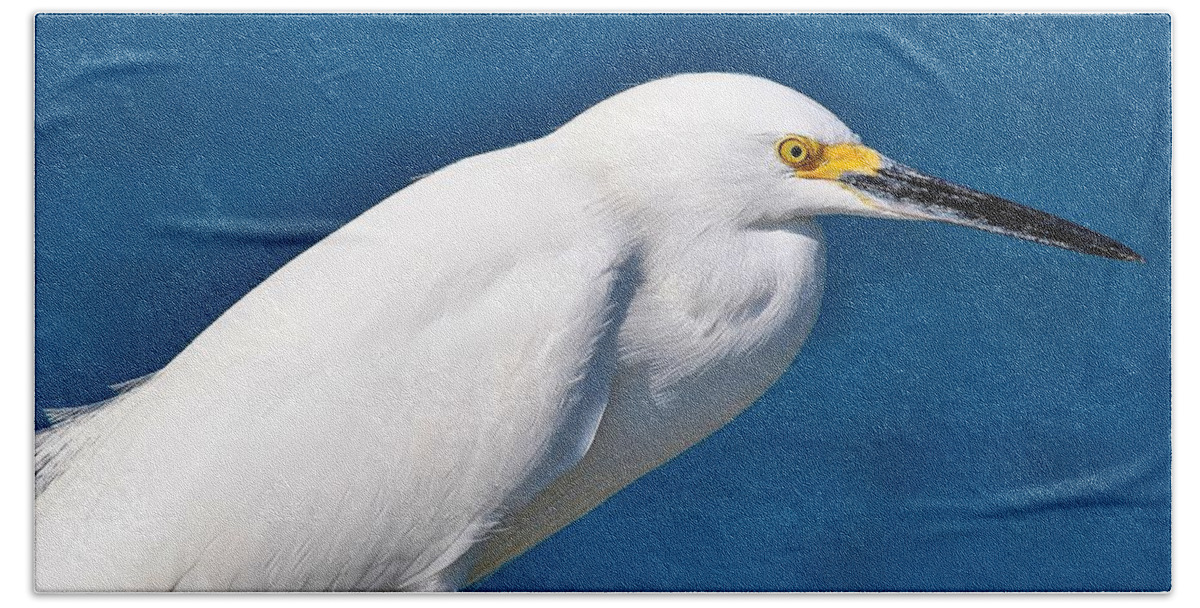 Birds Beach Towel featuring the photograph Snowy Egret C by John Hintz